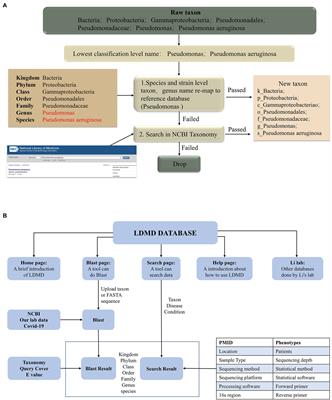 LDMD: A database of microbes in human lung disease